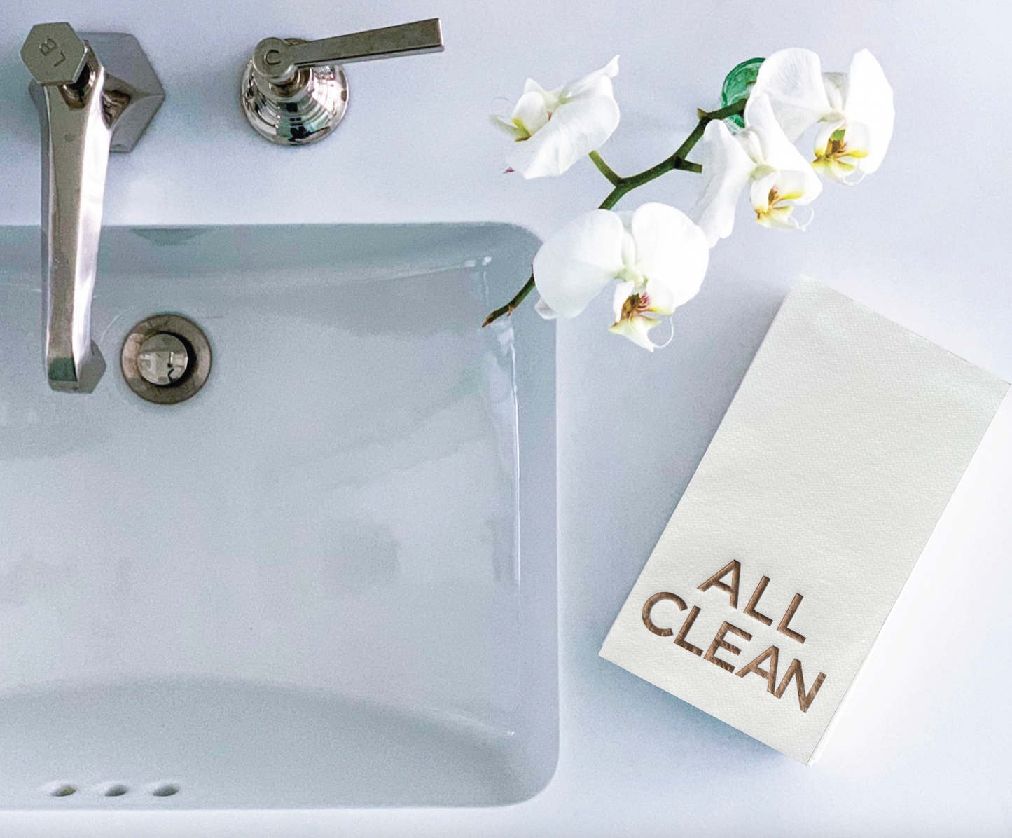 Cloth-Like Disposable Guest Towels